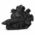 Betta Fish Art Object - Black