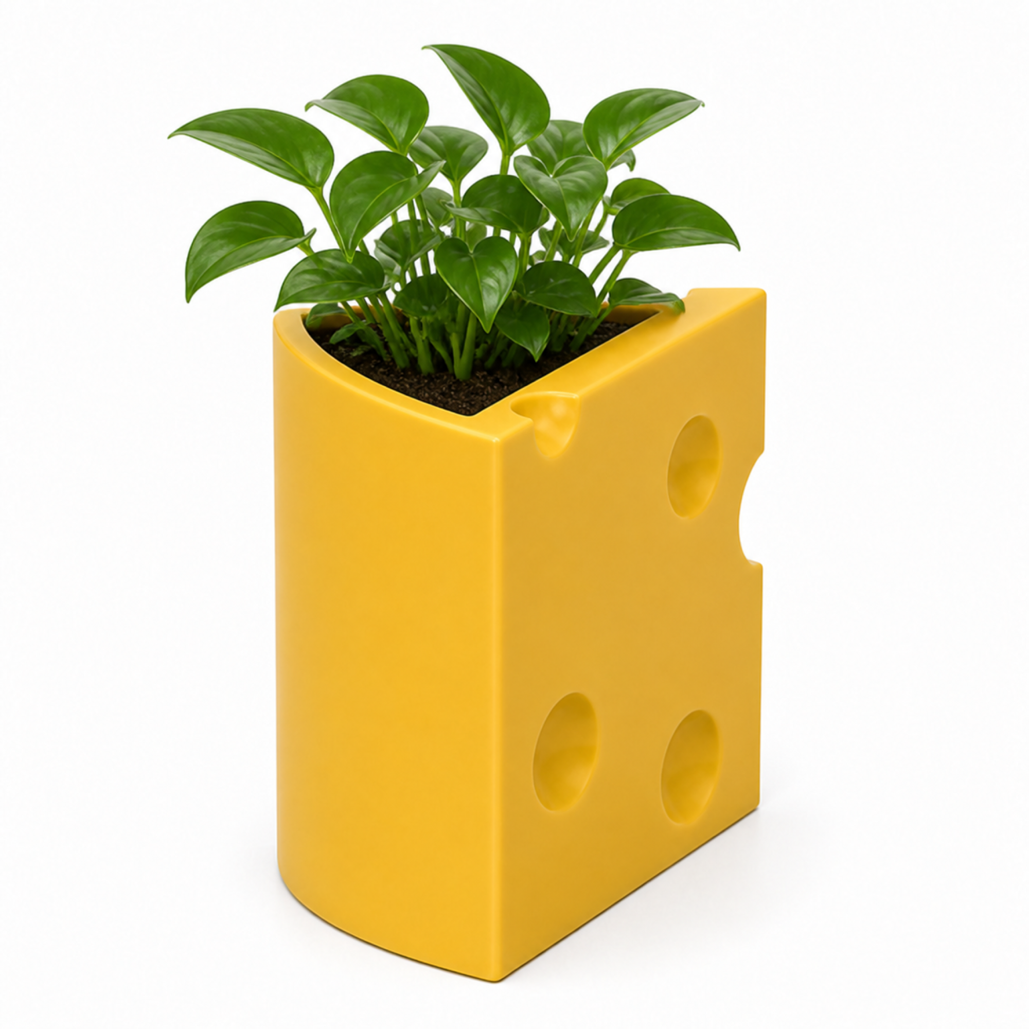 Cheese Slice Vase - Yellow - image 4