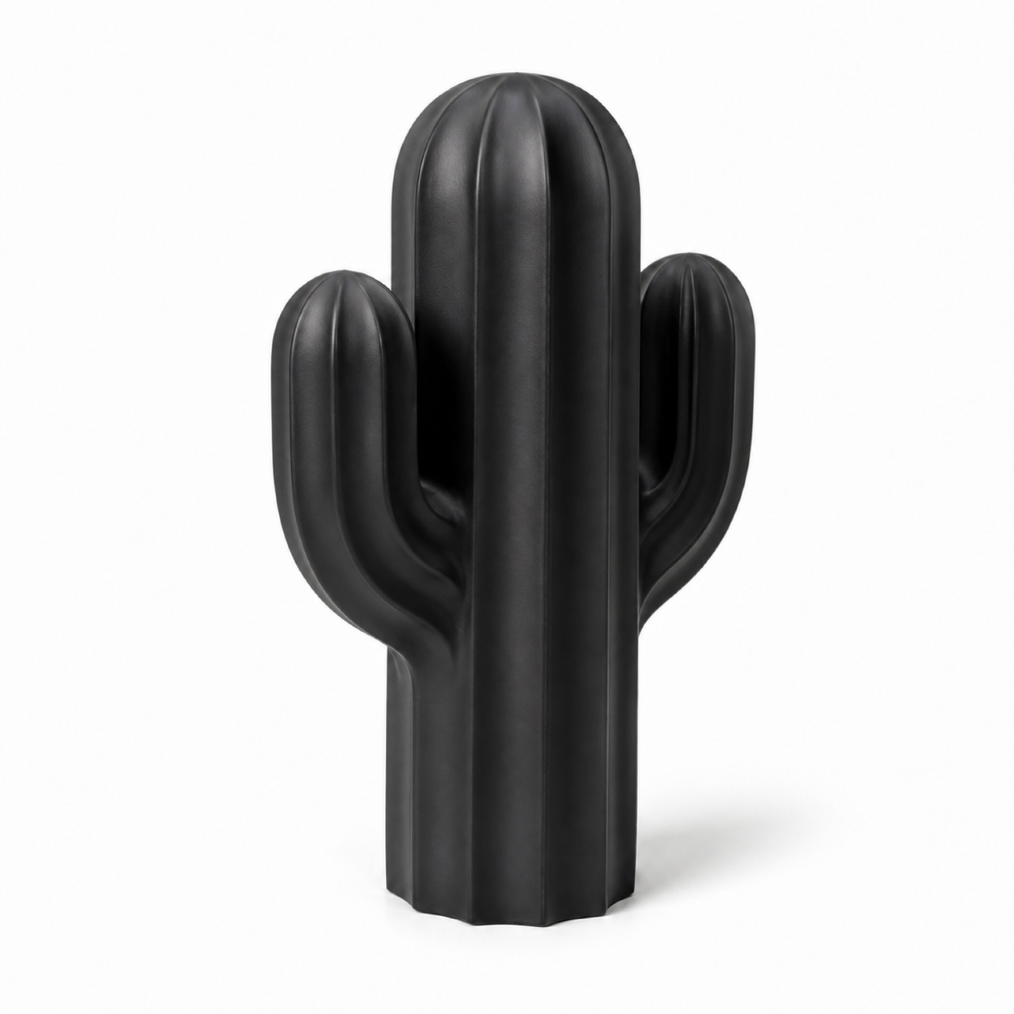 Cactus Art Object - Black