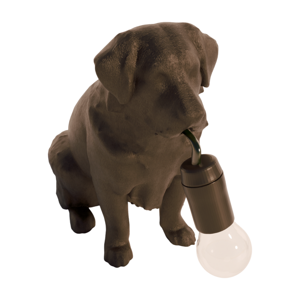 Berner Sennenhund Tischlampe
