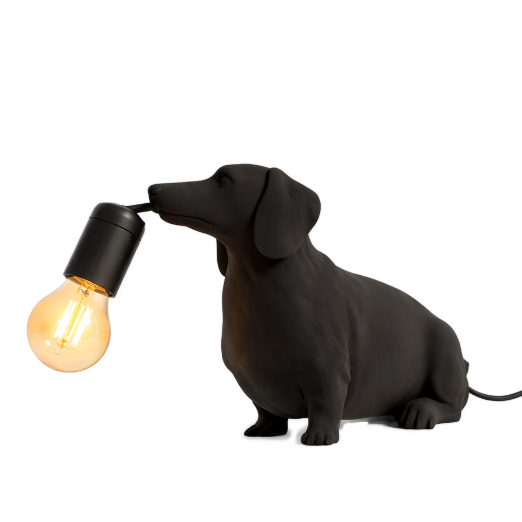 Dachshund Table Lamp